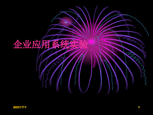 企业应用实验