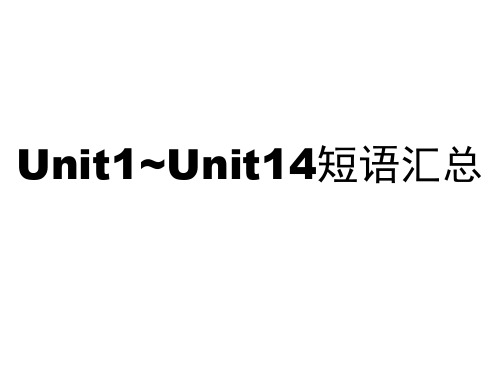 Unit1-unit14短语汇总课件2022-2023学年人教版九年级英语全册