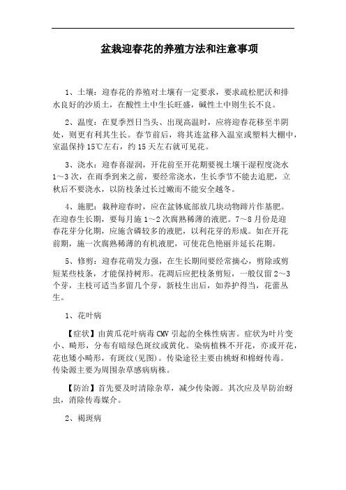 盆栽迎春花的养殖方法和注意事项