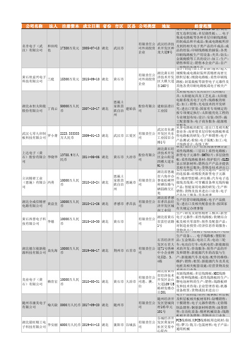 2021年湖北省线路板行业企业名录641家