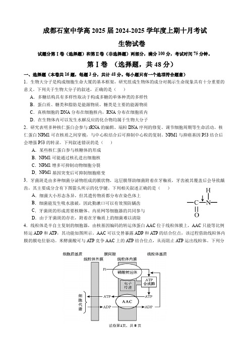 四川省成都市石室中学2024-2025学年高三上学期10月月考生物试题