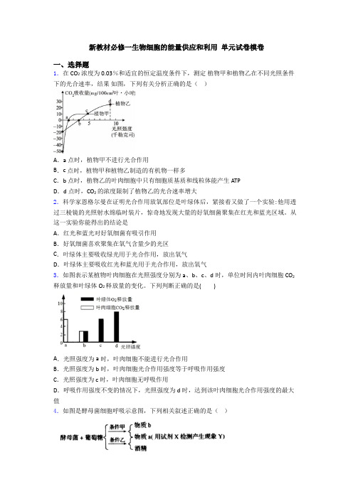 新教材必修一生物细胞的能量供应和利用 单元试卷模卷