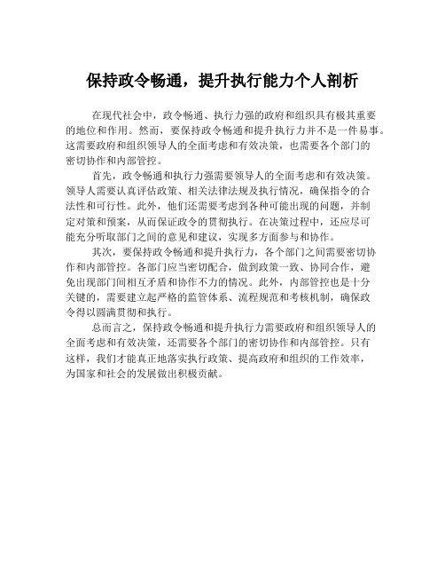 保持政令畅通,提升执行能力个人剖析