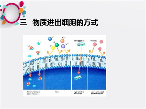 物质进出细胞的方式