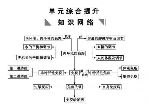人体生命活动的调节和免疫ppt2精品课件 3