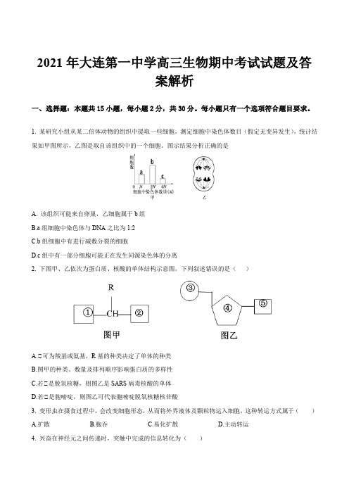 2021年大连第一中学高三生物期中考试试题及答案解析