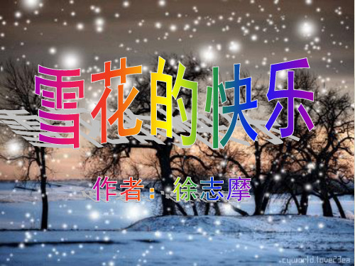 《雪花的快乐》课件