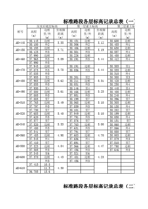 标高数据记录总表