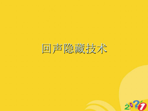 2021新回声隐藏技术专业资料