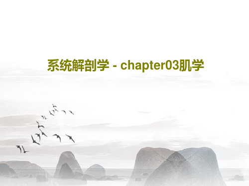 系统解剖学 - chapter03肌学共52页