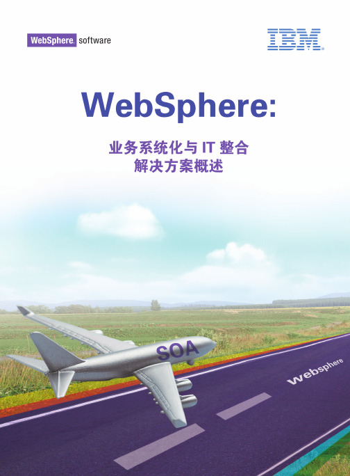 websphere业务系统优化与IT整合