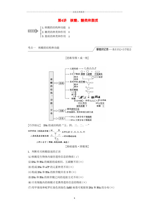 (江苏专版)高考生物一轮复习 第一单元 第4讲 核酸、糖类和脂质名师精编讲义(含解析)(必修1)