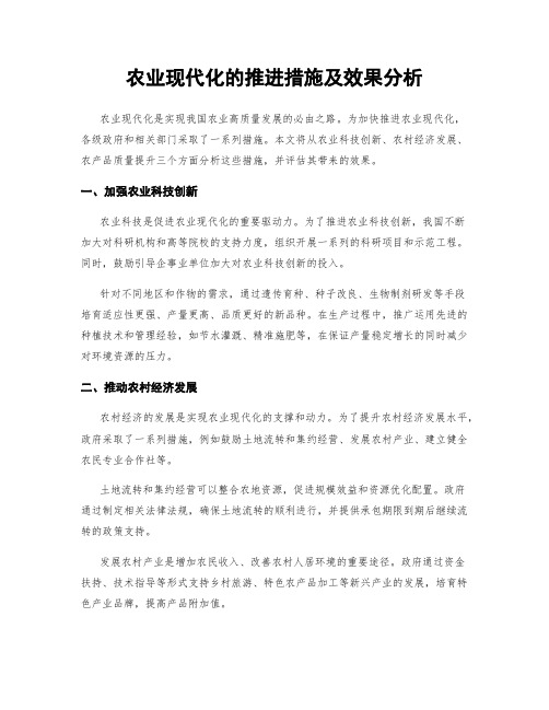 农业现代化的推进措施及效果分析 (3)