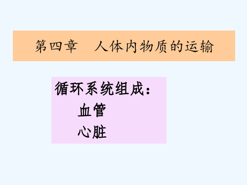 生物人教版七年级下册复习专题 血管和心脏