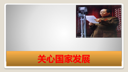 人教部编版道德与法治八年级上册：10.1《关心国家发展》(4)(53)