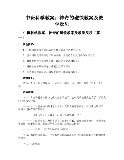 中班科学教案神奇的磁铁教案及教学反思