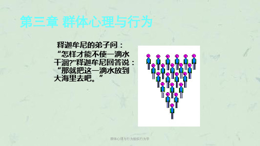 群体心理与行为组织行为学课件