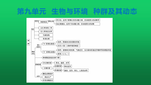 【课件】高三生物一轮复习课件第九单元  第1讲种群的特征 