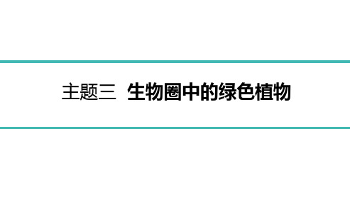 2022年中考生物总复习主题三生物圈中的绿色植物 专题一绿色开花植物的一生