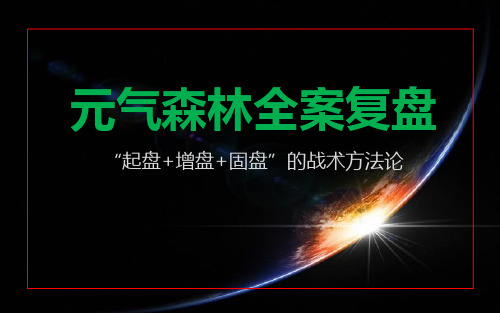 元气森林全案复盘
