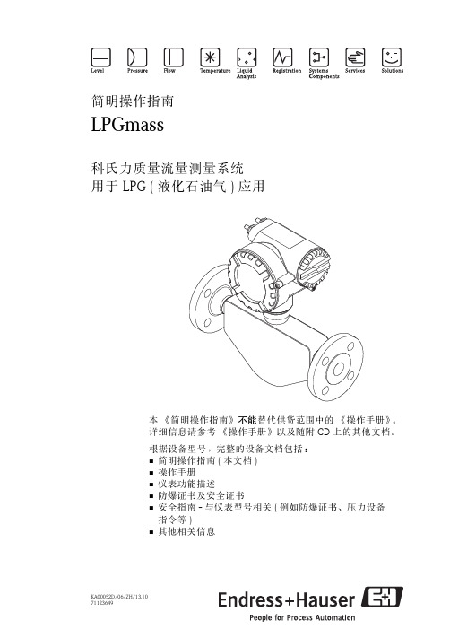 E+H LPGmass 科氏力质量流量测量系统简明操作指南