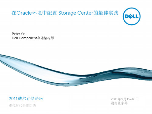 Compellent Oracle数据库解决方案最佳实践