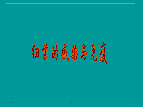 细菌的感染与免疫人卫ppt课件