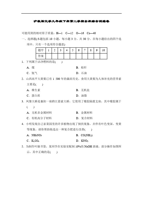 沪教版化学九年级下册第二学期全册综合训练卷