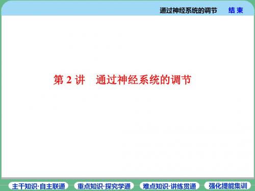 2019年高考生物一轮复习精品课件：必修3 第1单元 第2讲 通过神经系统的调节