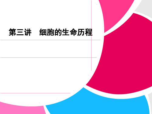 2013届高考生物二轮复习全攻略：1-1-3《细胞的生命历程》