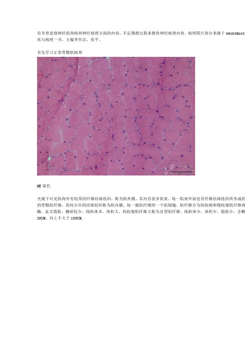 我来教你神经病理