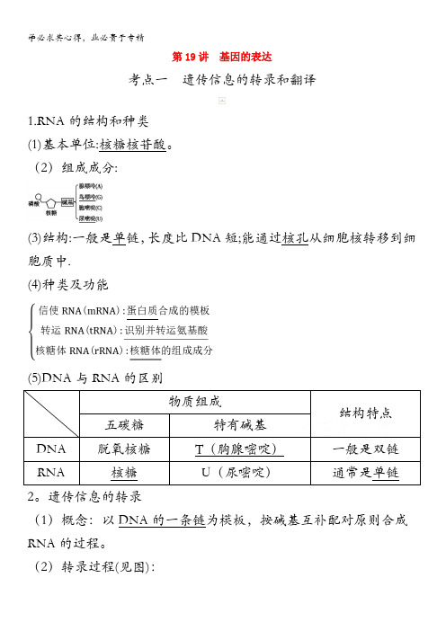 2021高考生物复习新教案：第六单元第19讲基因的表达 