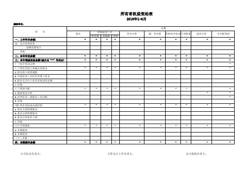 所有者权益变动表-样表