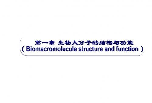 生物化学第一章 生物大分子的结构与功能