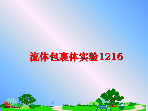 最新流体包裹体实验1216