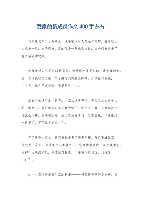 我家的新成员作文400字左右