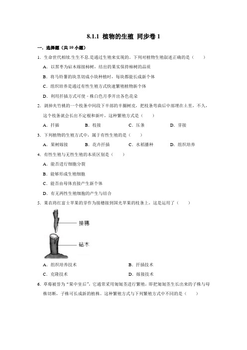 鲁科五四制版生物八年级下册 植物的生殖