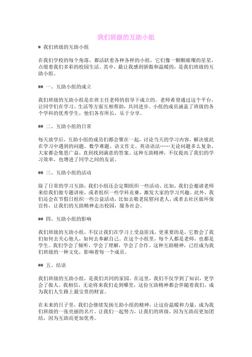 我们班级的互助小组