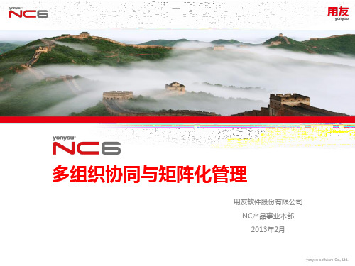 NC六大价值方案2-多组织协同与矩阵化管理