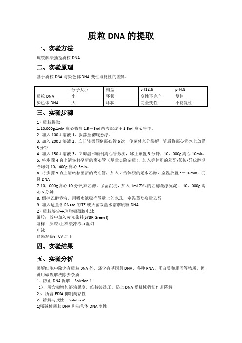 质粒DNA的提取实验报告