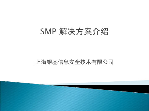 SMP解决方案介绍-2013