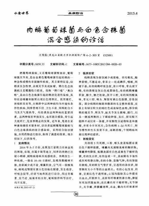 肉鹅葡萄球菌与白色念珠菌混合感染的诊治