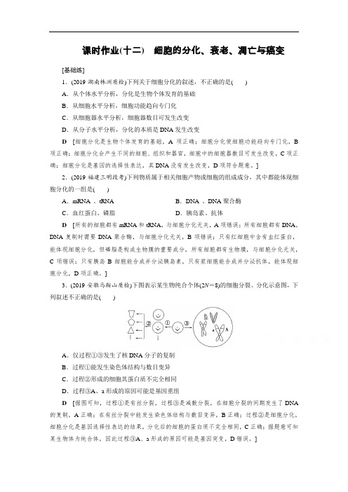 2021高考生物课标全国版一轮课时作业12细胞的分化、衰老、凋亡与癌变(Word版含解析)