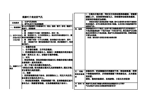 观察叶片的结构实验报告单