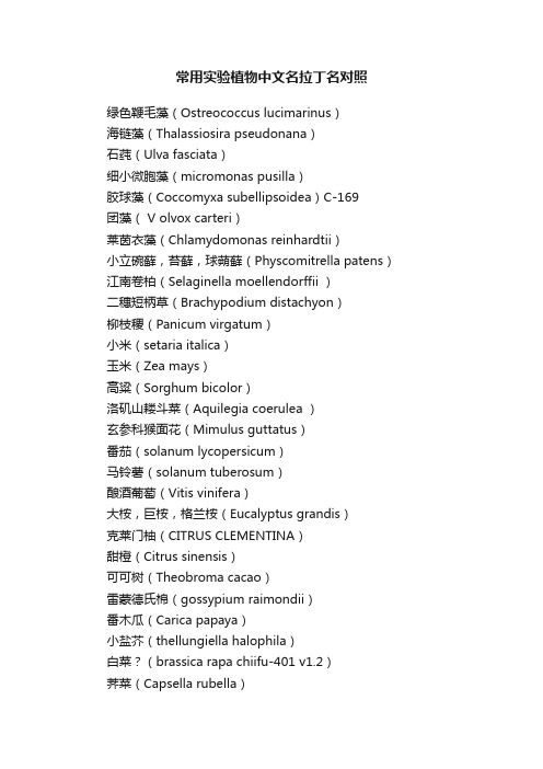 常用实验植物中文名拉丁名对照