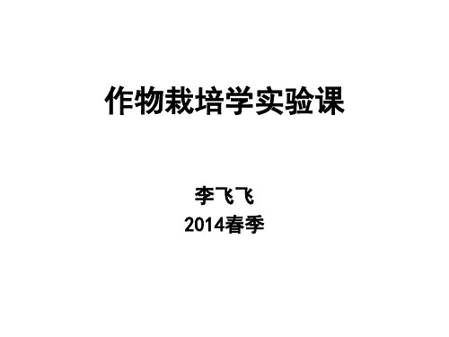 实验三：小麦主要农艺性状考查