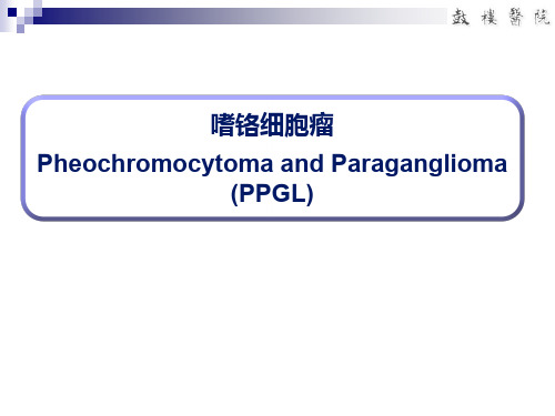 嗜铬细胞瘤的临床诊治进展