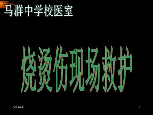 烧烫伤现场救护 28页PPT文档