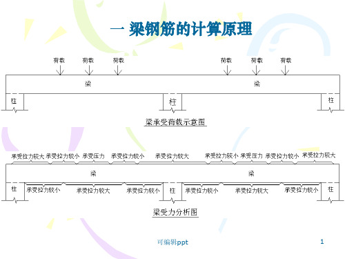 梁设置与钢筋构造