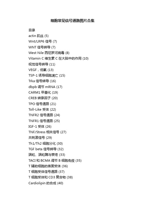 细胞常见信号通路图片合集